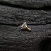 Auris Jewellery - 3-Prong с бриллиантом